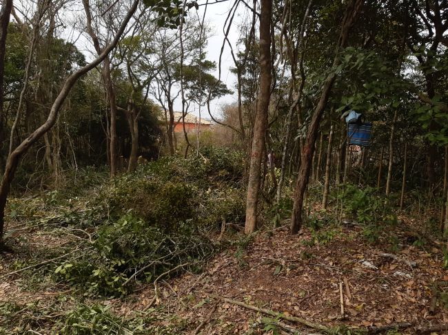 Terreno - Venda: FERRADURA, Armação dos Búzios - RJ